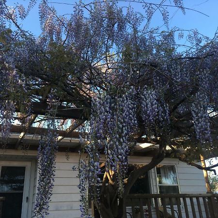 Wisteria Vine Cottage 蒙蒂塞洛 外观 照片